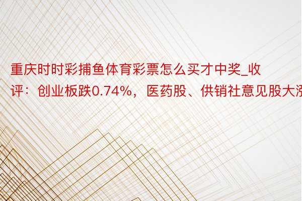 重庆时时彩捕鱼体育彩票怎么买才中奖_收评：创业板跌0.74%，医药股、供销社意见股大涨